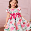 SHEIN Fern Glow Young Girl Floral Toddler Girls Floral Print Ruffle Trim Bow Front Dress